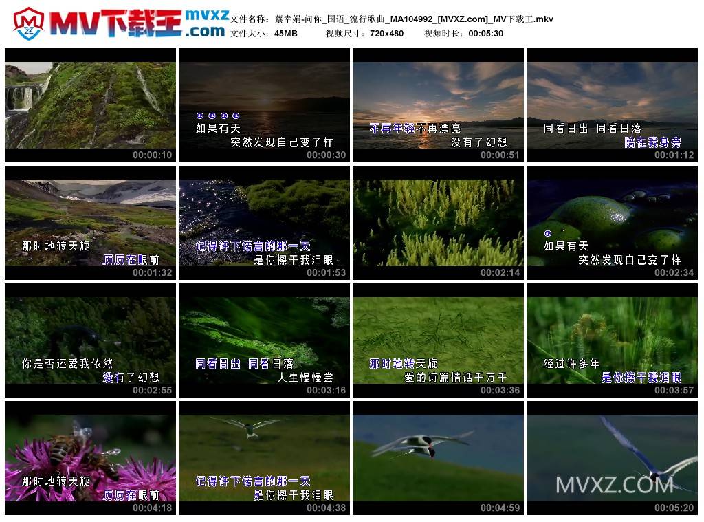 蔡幸娟-问你_国语_流行歌曲_MA104992